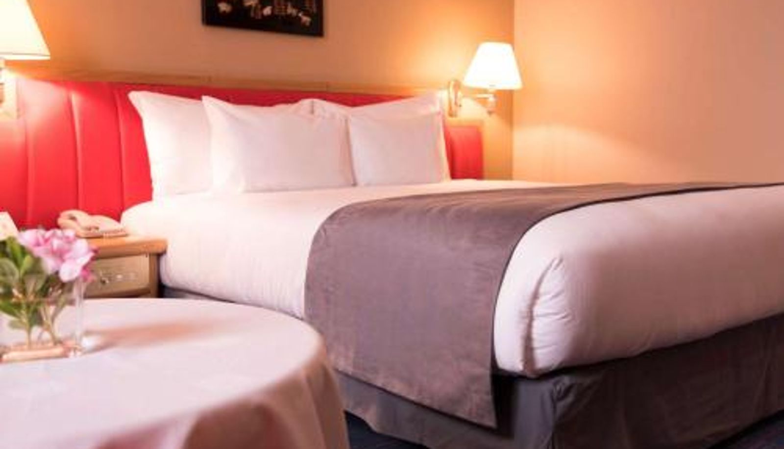 Kamer - Hotel Mercure Alger Aéroport