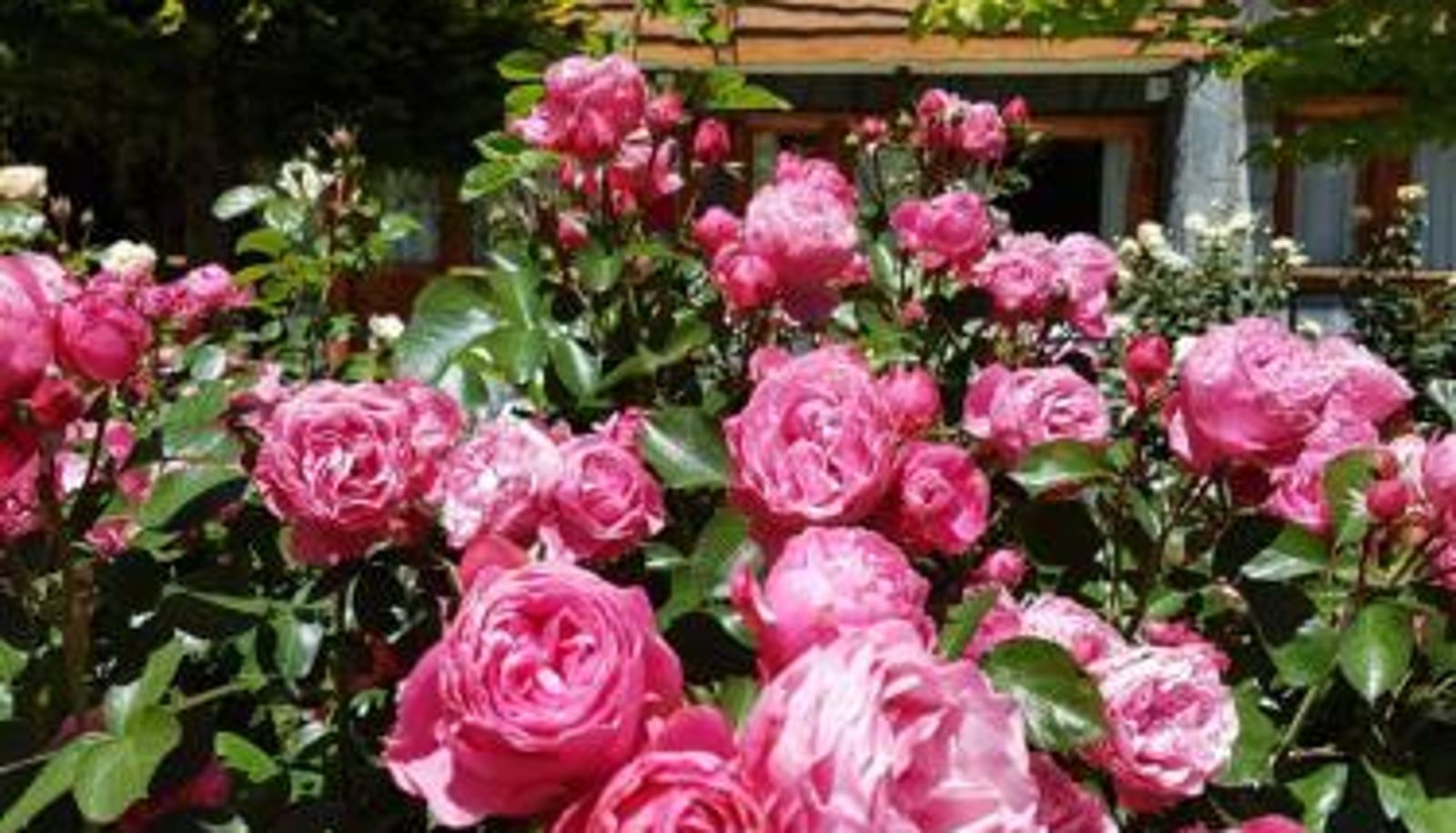Apartament - De las Rosas Bariloche