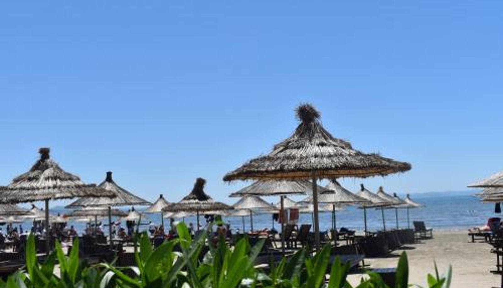 Playa - COSMO Beach Hotel