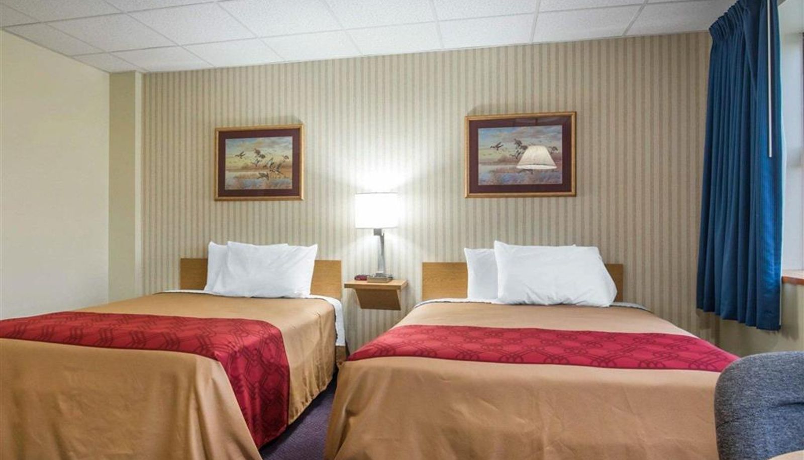 Zimmer - Econo Lodge Manchester