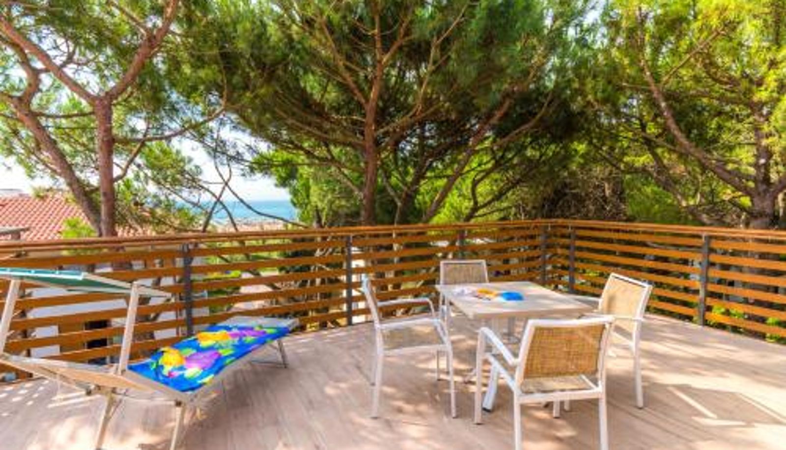 Info - Park Hotel Pineta & Dependance Suite