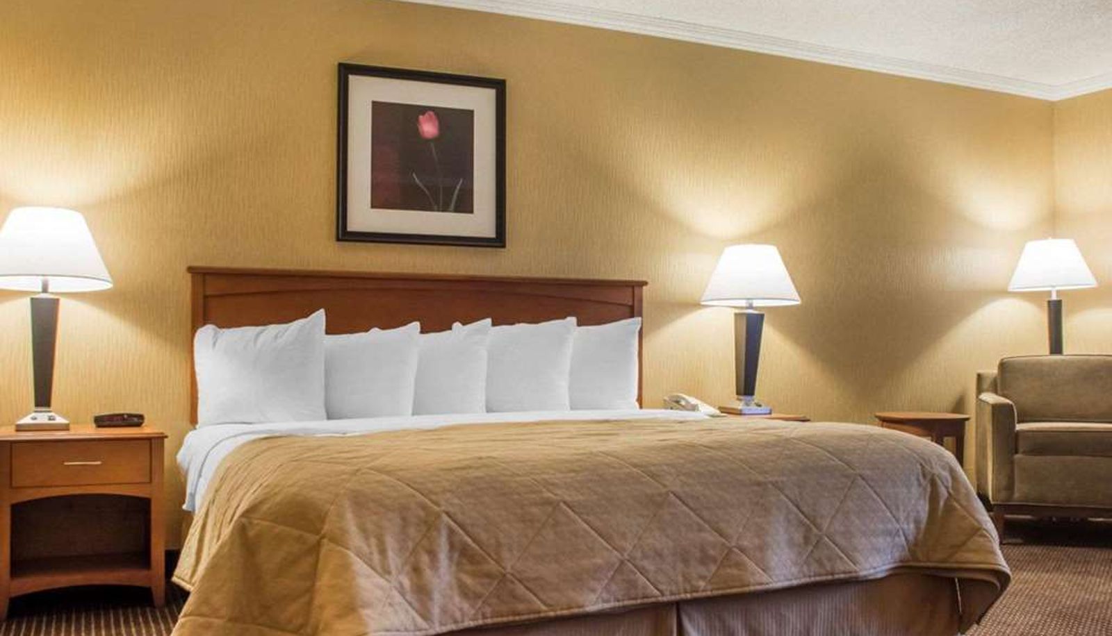 Suite - Clarion Hotel & Suites Riverfront