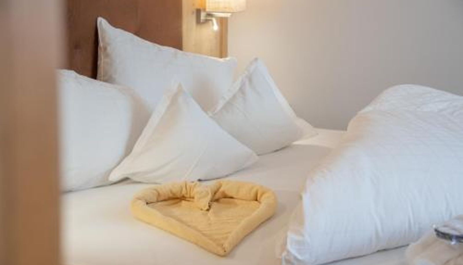 Info - Hotel Theiner