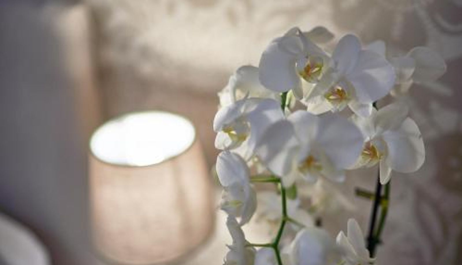 Chambre - Hotel Clodia - Adults Only