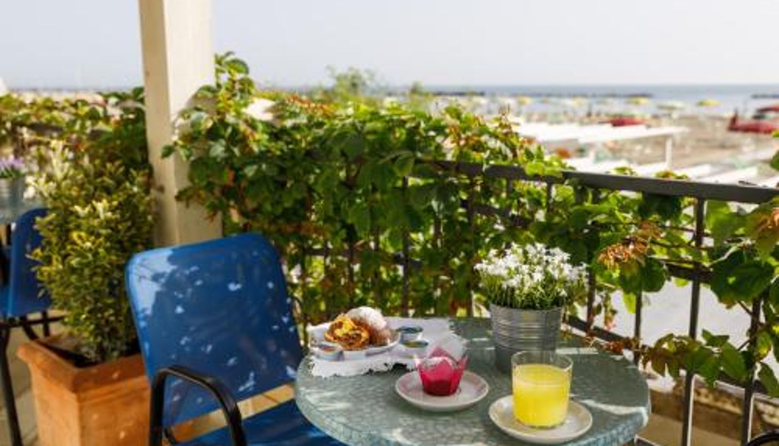 Terraza - Albergo Roma Spiaggia