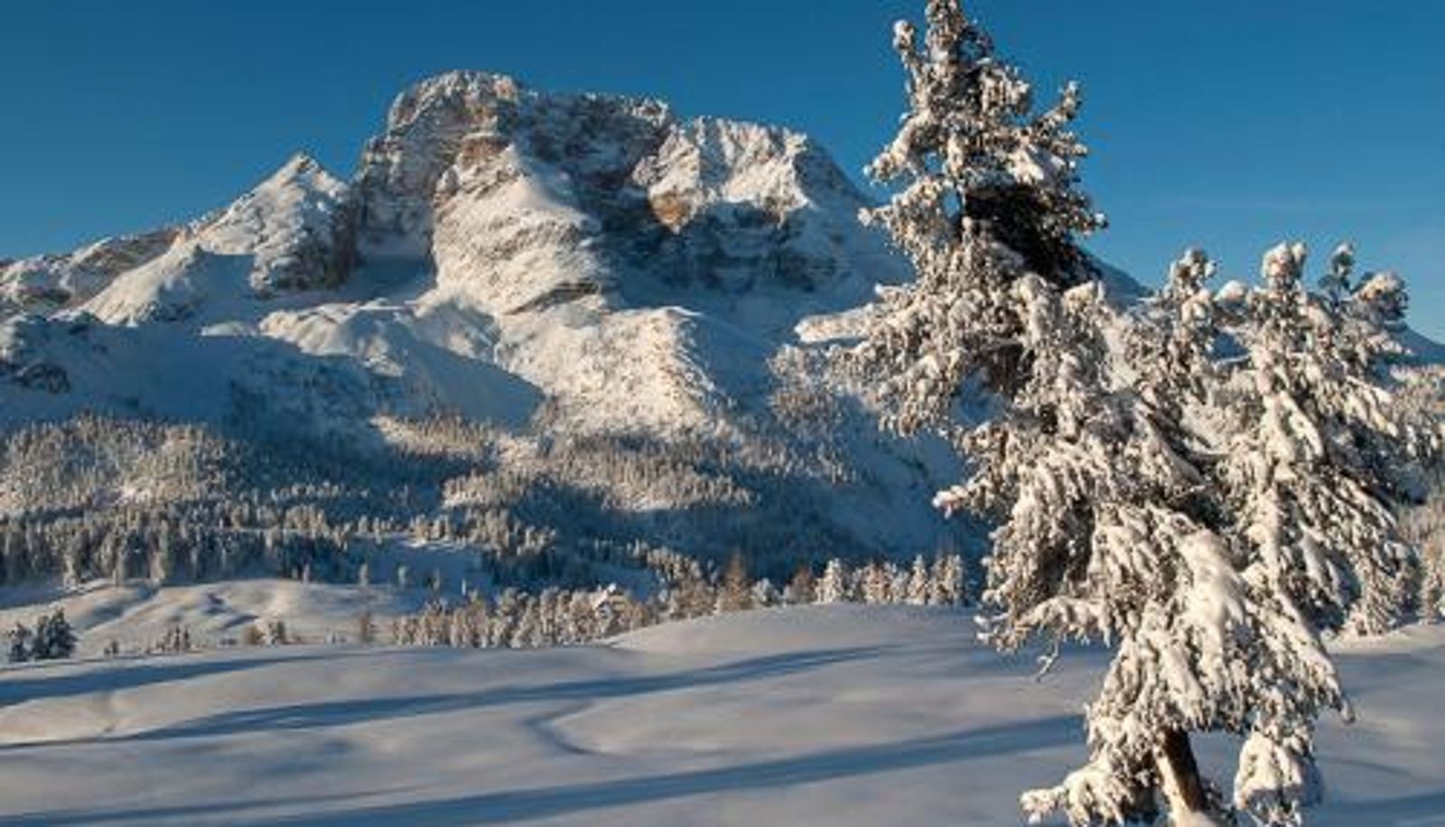 Info - Alpin Natur Hotel Brückele