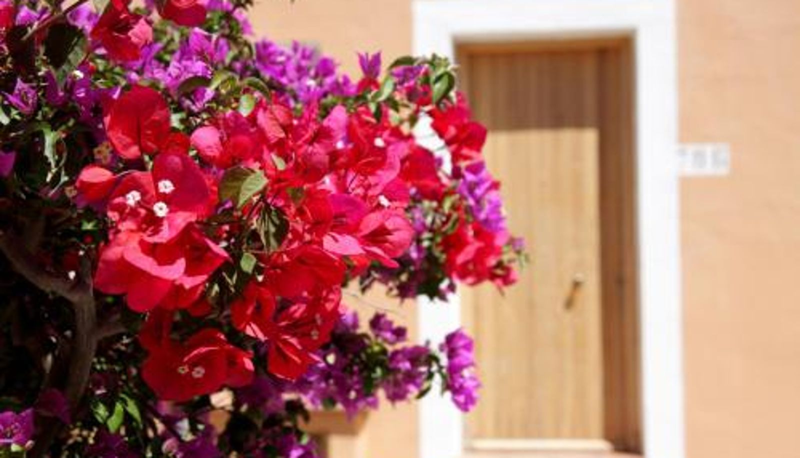 Camera per famiglia - TH Costa Rei - Free Beach Resort