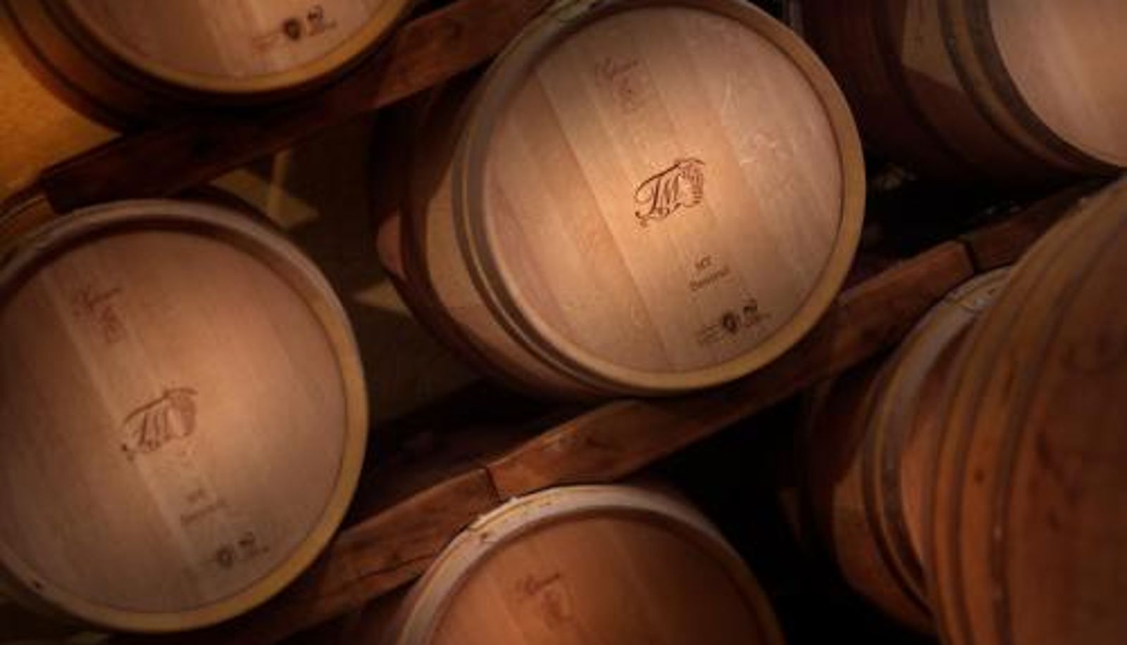 Información - Tenuta Montemagno Relais & Wines