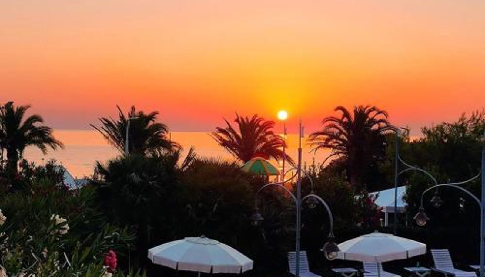 Info - Hotel Parco Delle Rose