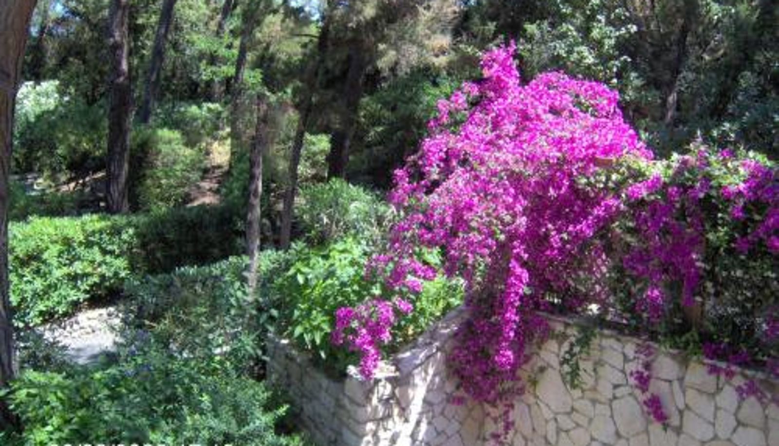Info - Residence Casa Di Caccia