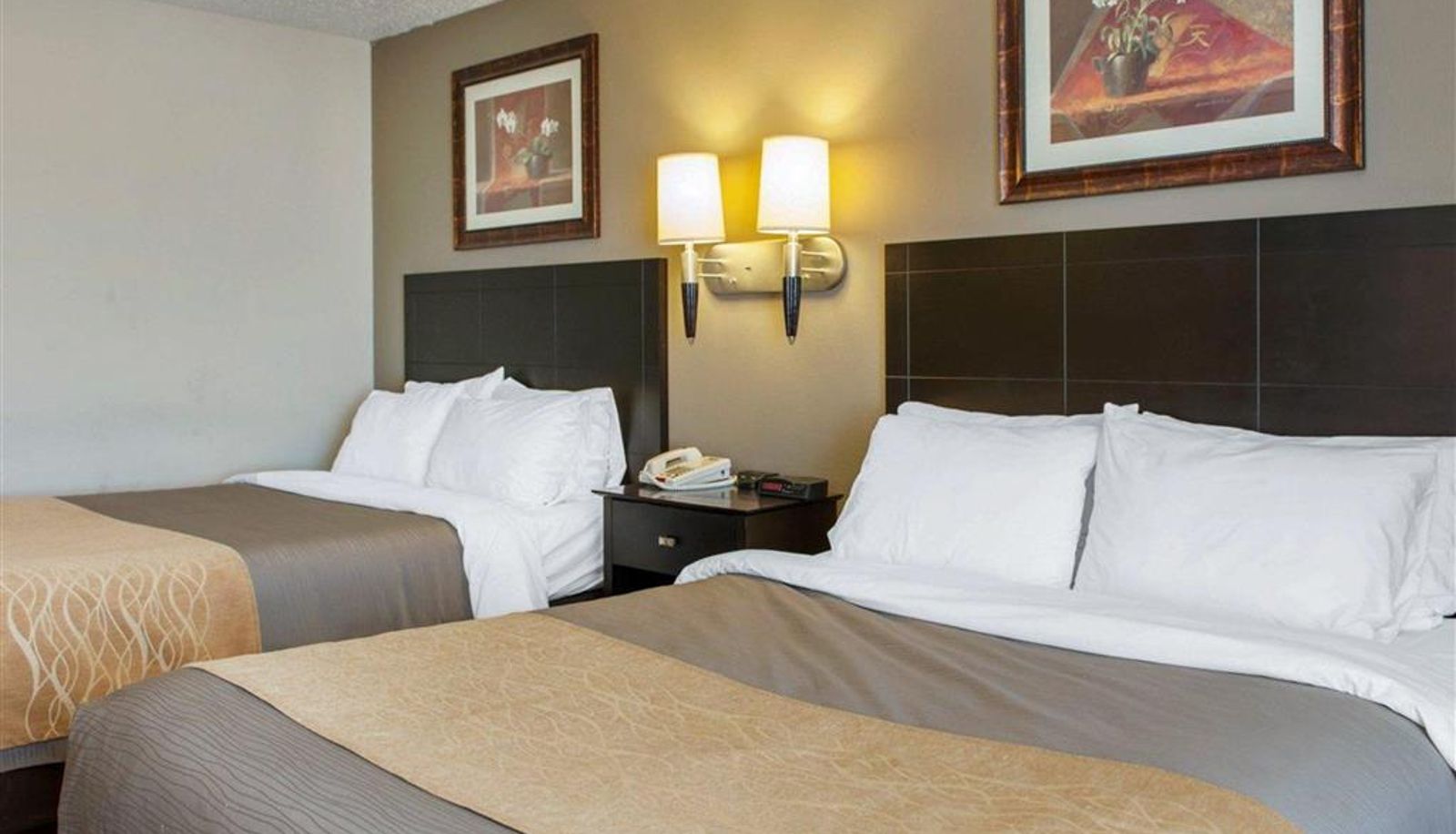 Zimmer - Comfort Inn Near Ouabache State Park