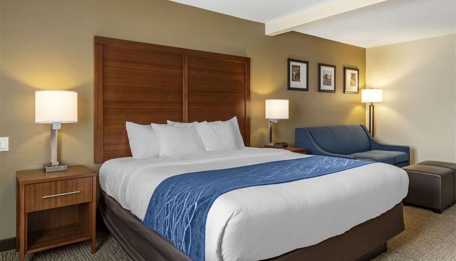 Zimmer - Comfort Inn & Suites Texas Hill Country