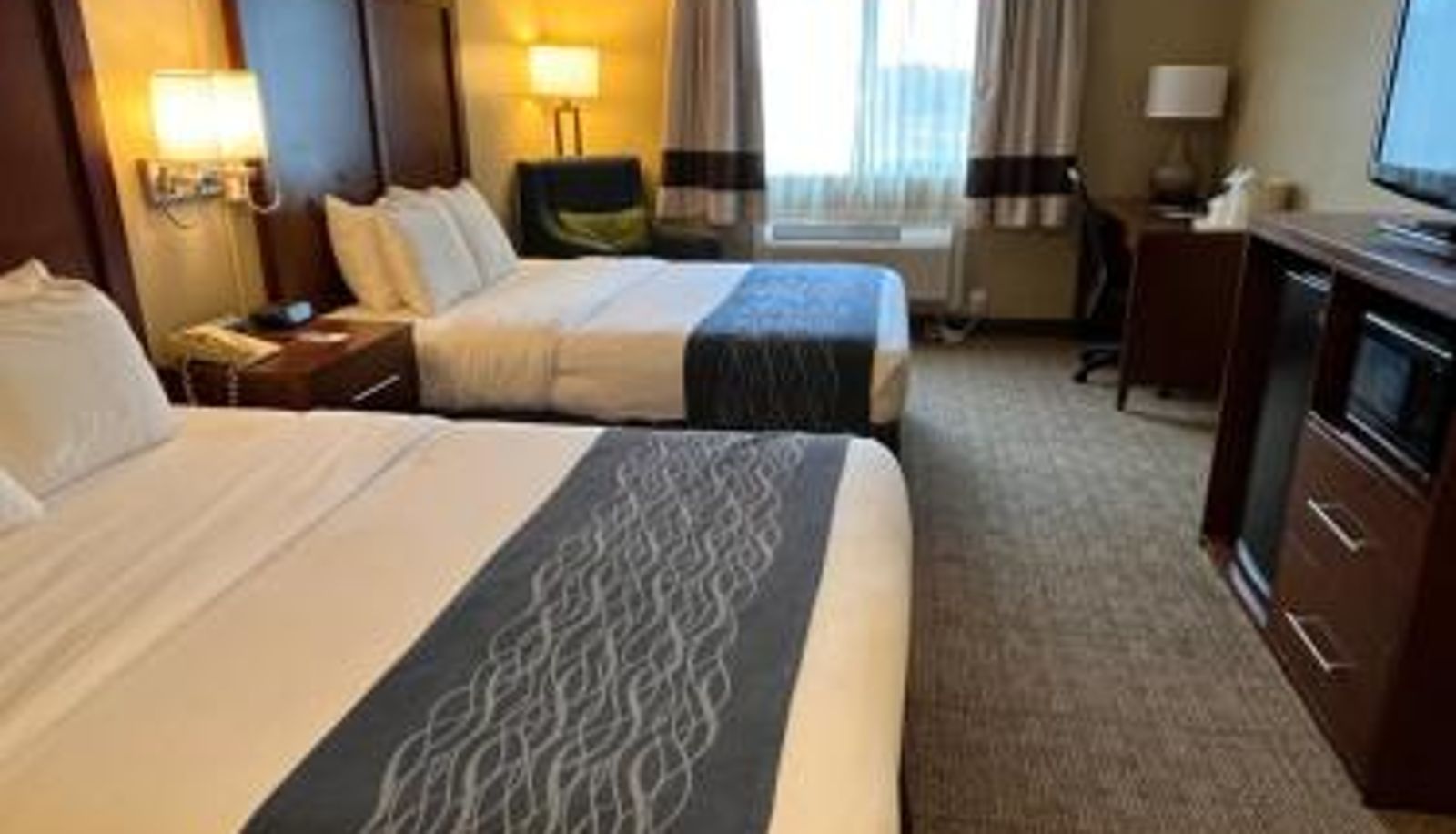 Room - Comfort Inn & Suites Ocean Shores
