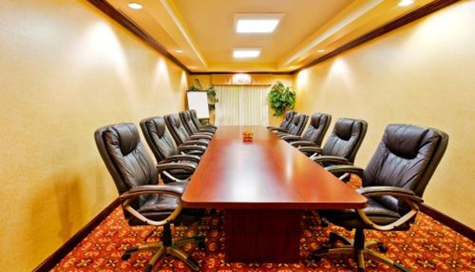 Sala de conferencias - Holiday Inn Express Hotel & Suites Dickson by IHG