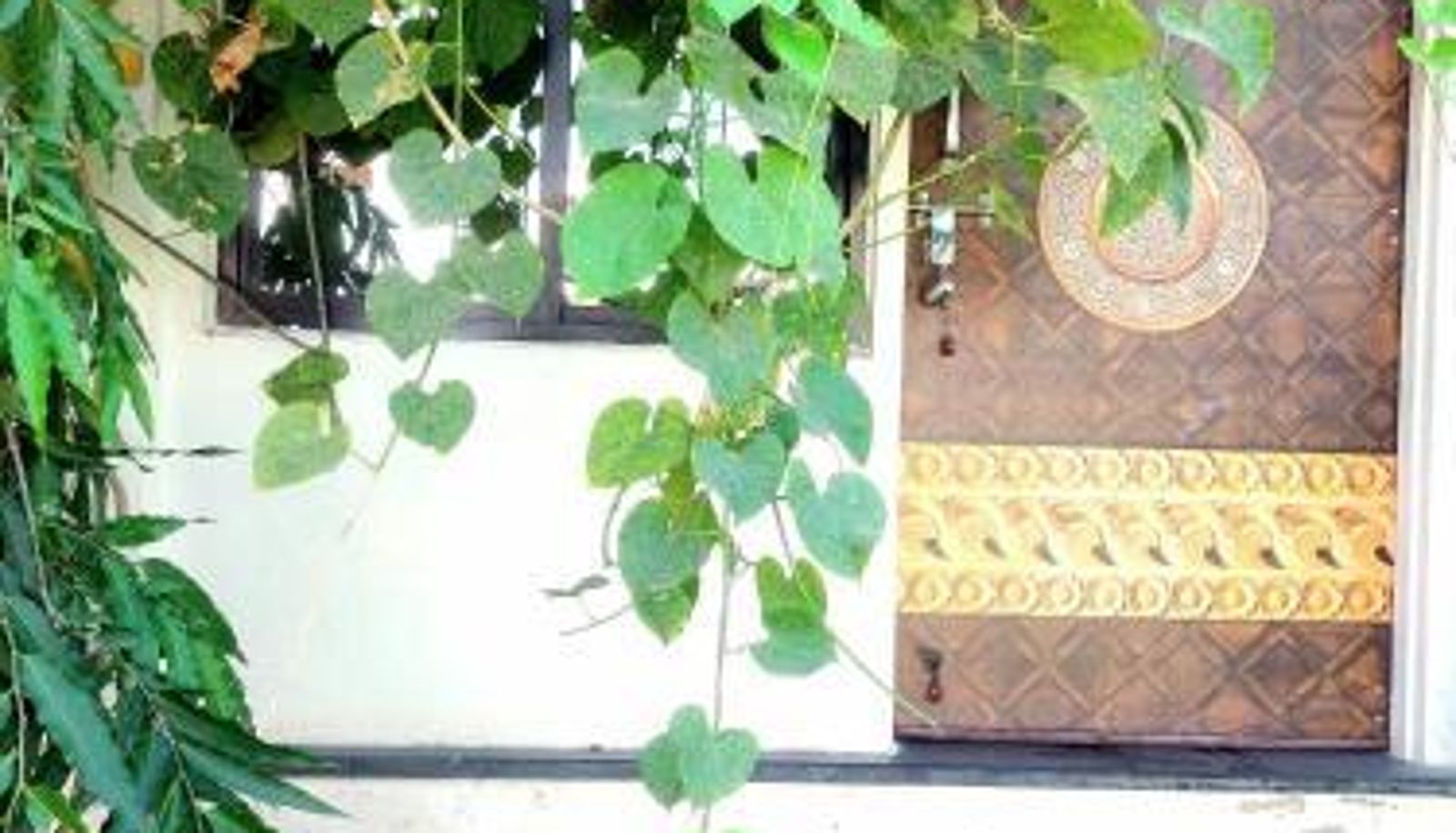 Standard room - Hotel Kota kunj Heritage