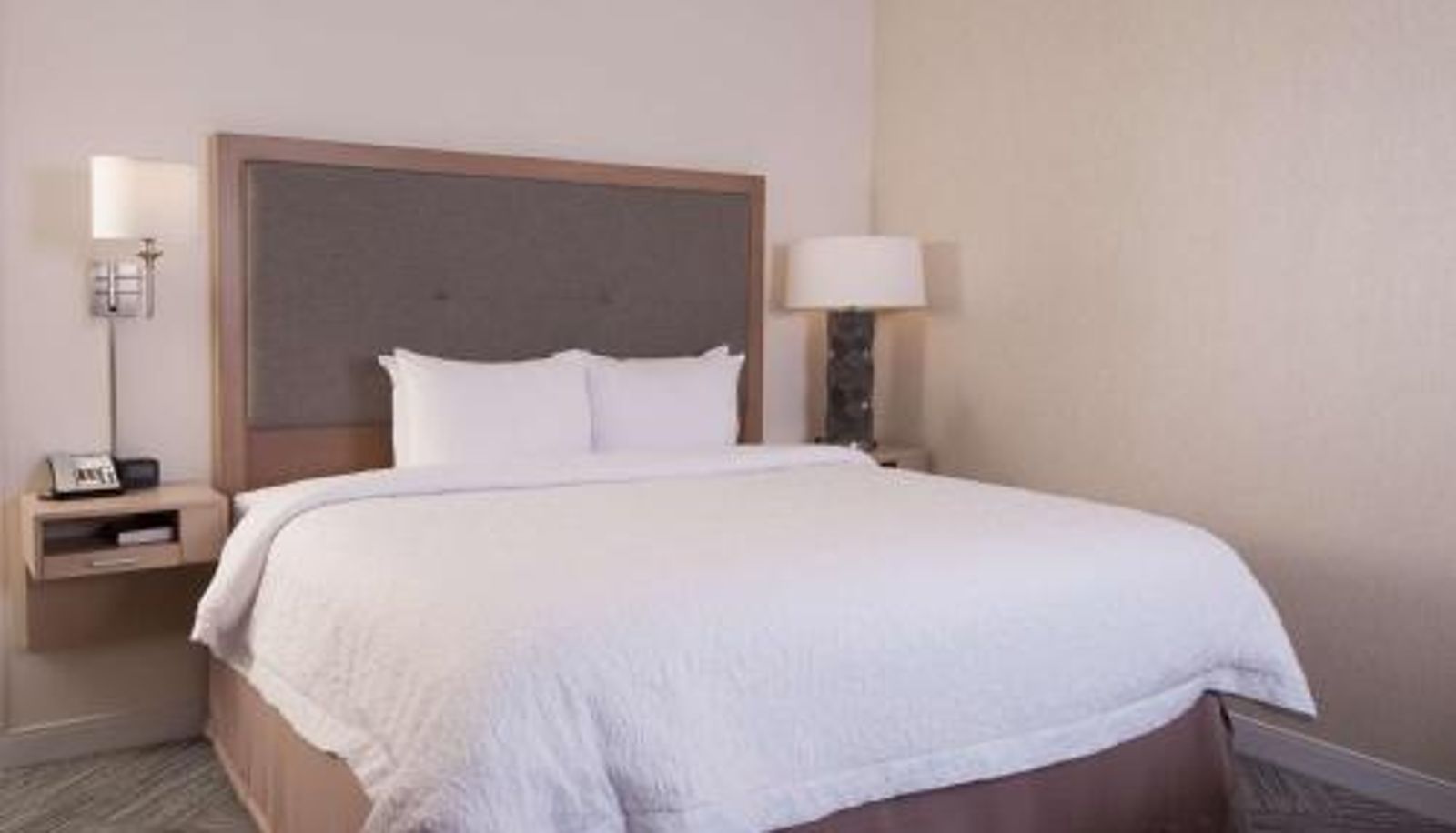 Info - Hampton Inn & Suites by Hilton Augusta-Washington Rd