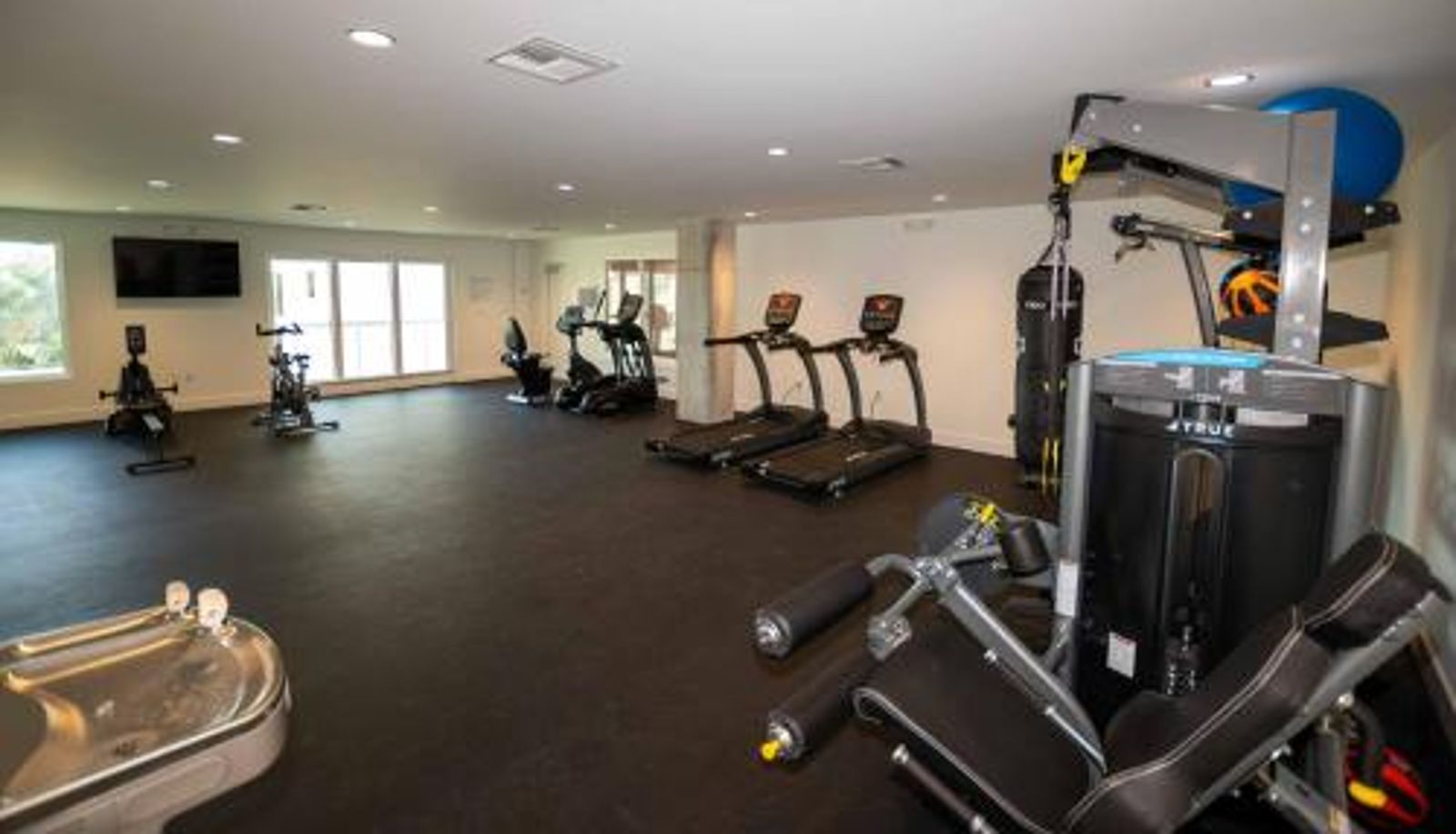 Wellness- und Fitnessbereich - The Avalon Club
