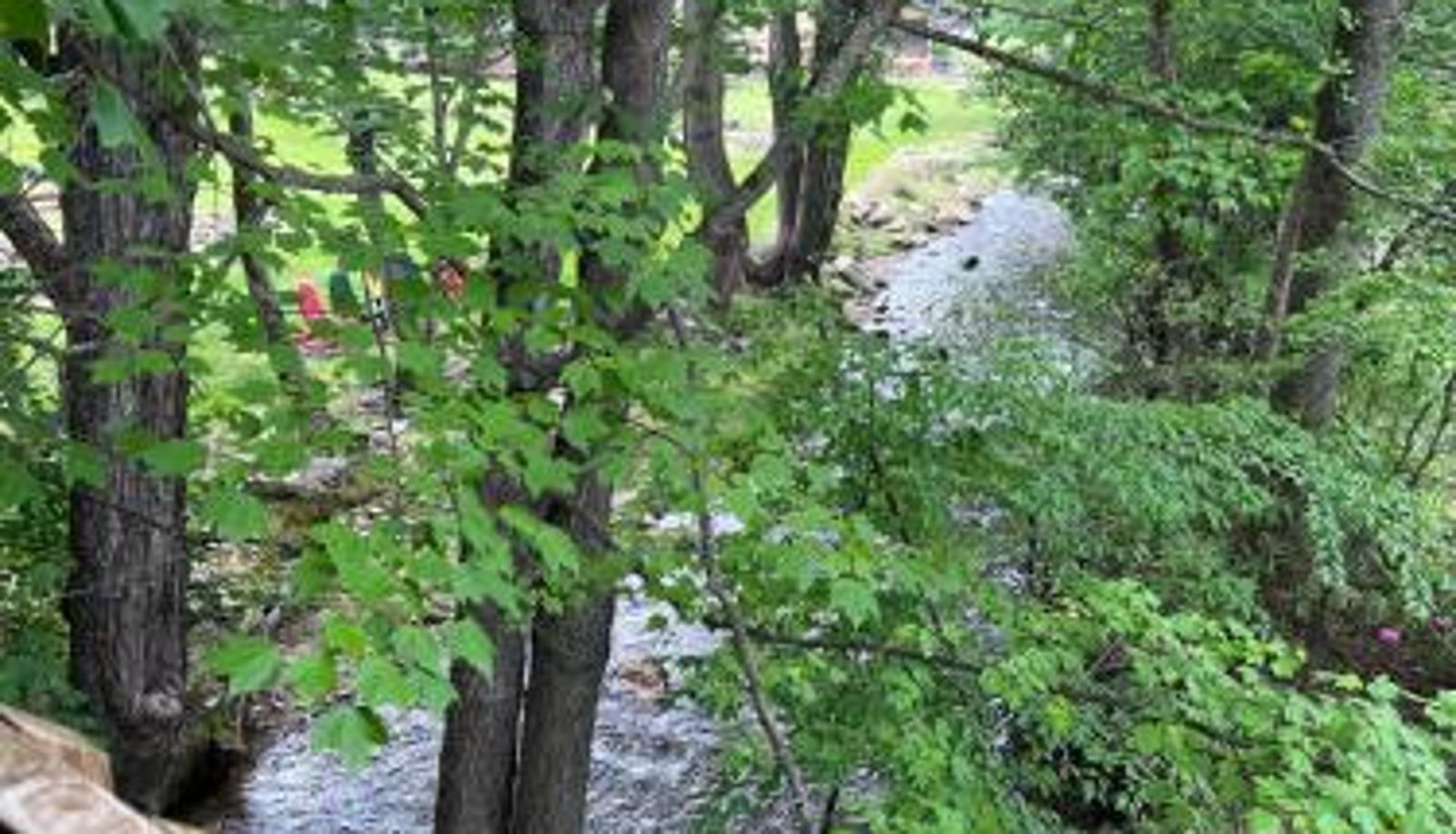 Info - Stony Creek Motel