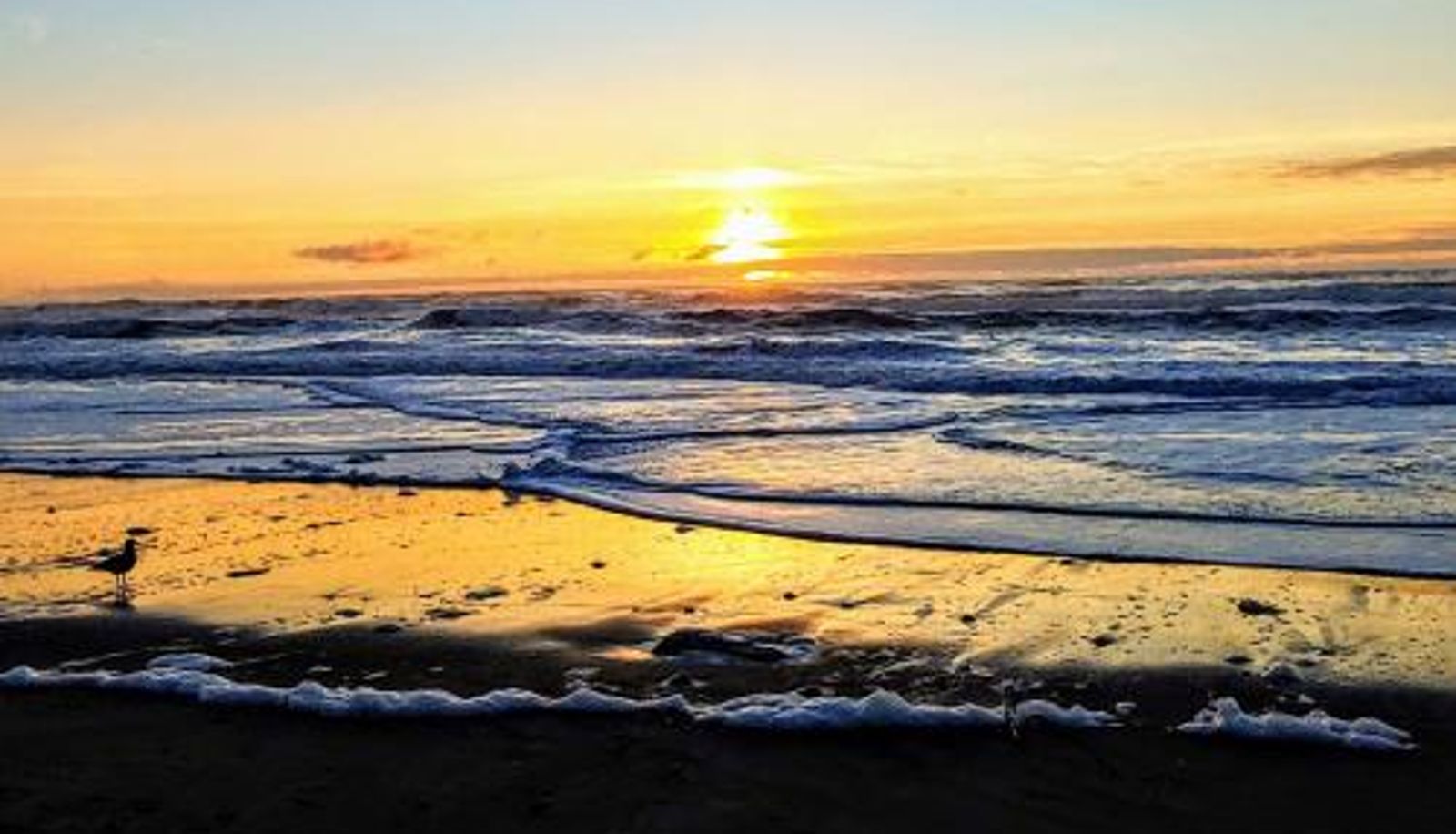 Info - Starfish Manor Oceanfront Hotel