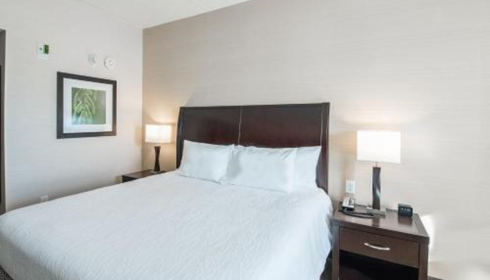 Zimmer - Hilton Garden Inn Indiana at IUP
