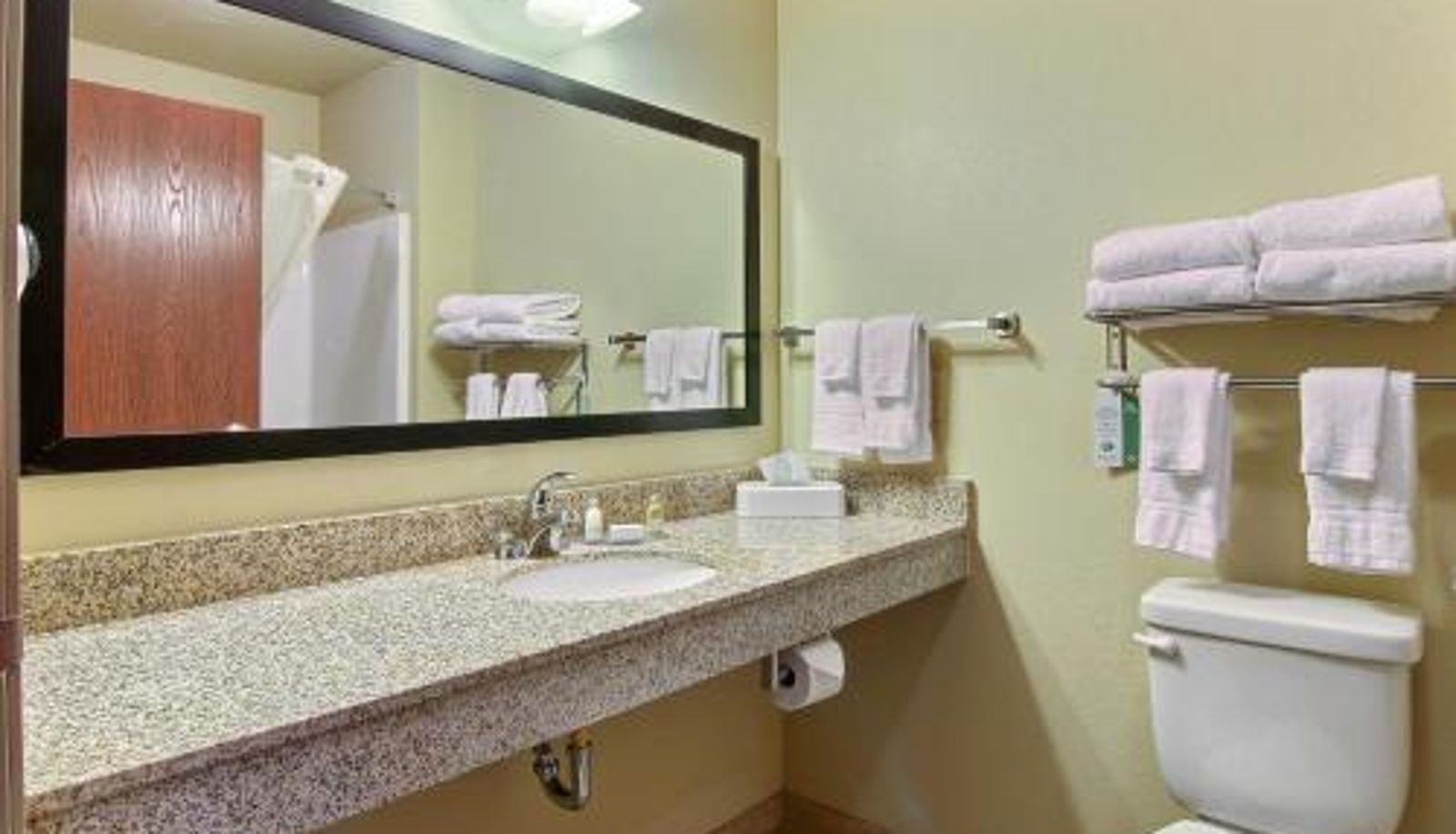Bagno - Cobblestone Hotel and Suites - Jefferson