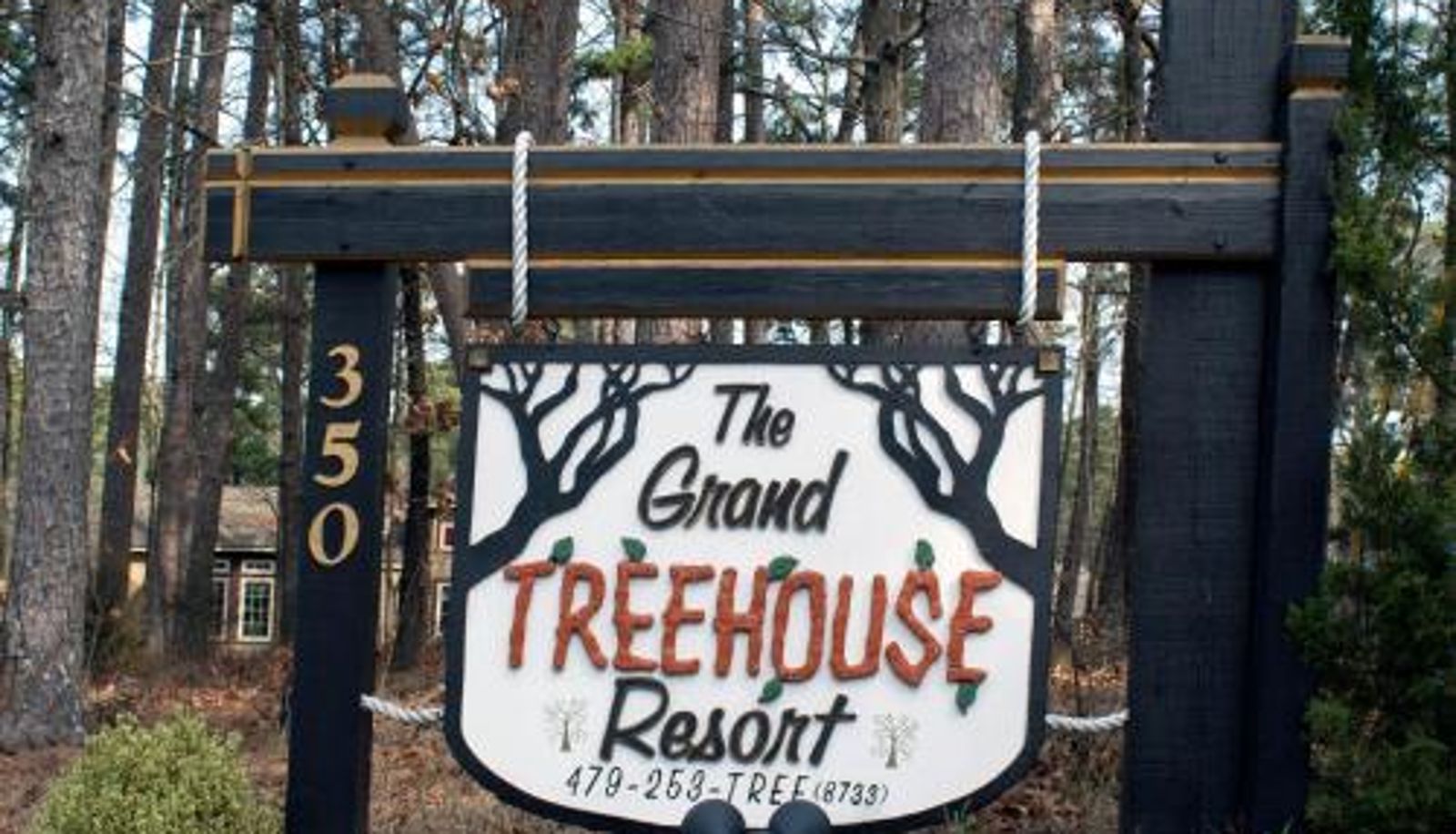 Informacje - The Grand Treehouse Resort