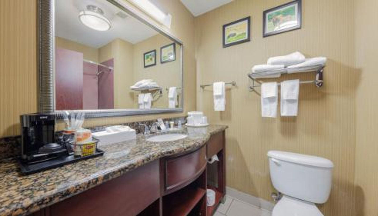 Standard room - Comfort Suites Lawton Near Fort Sill