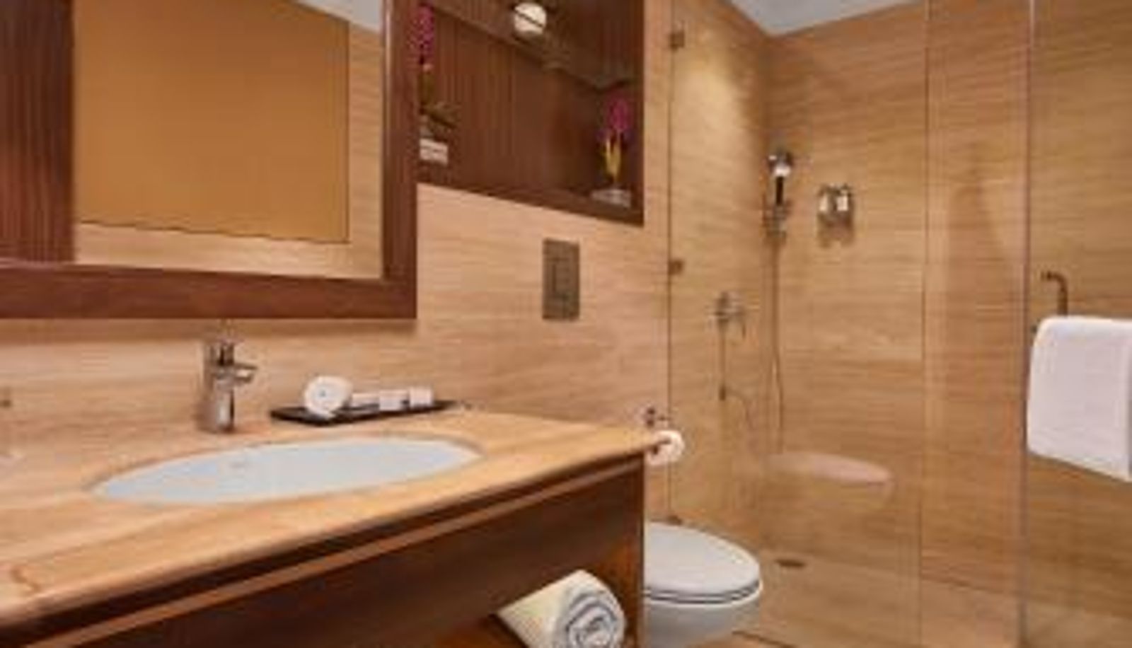 Zimmer - Bangalore Southern Star