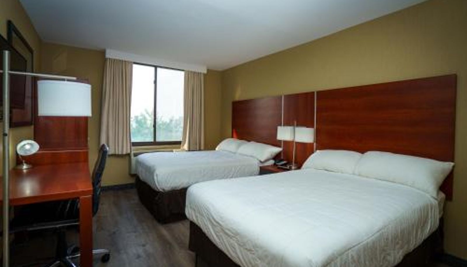 Habitación estándar - Sky Hotel Flushing/Laguardia Airport