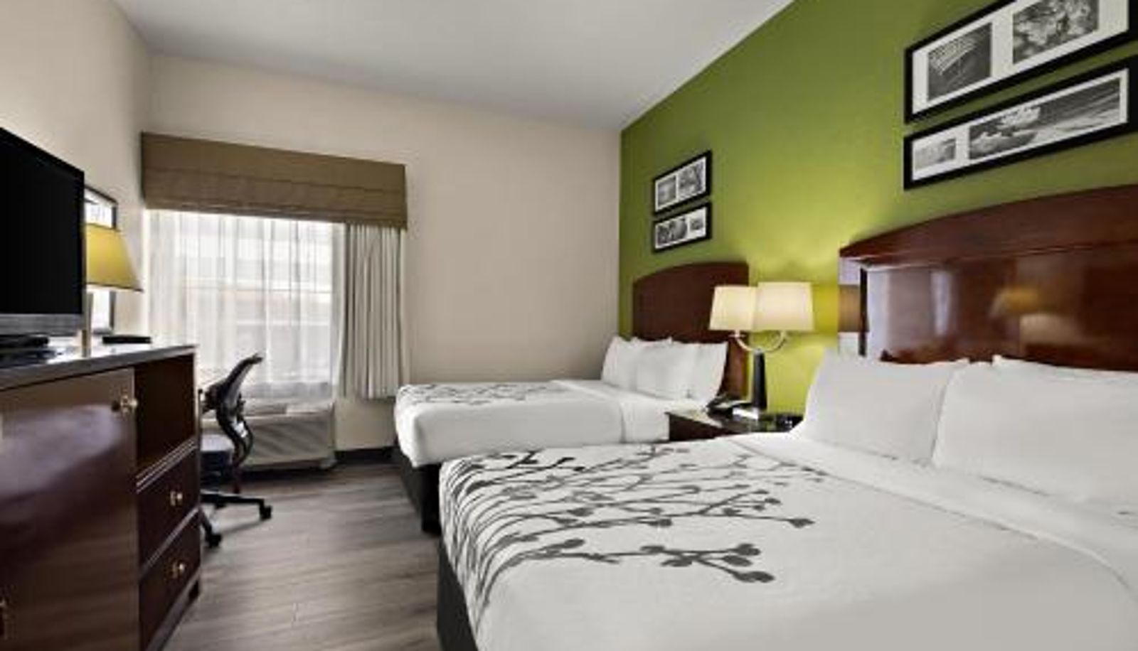 Pokój - Sleep Inn & Suites near Joint Base Andrews-Washington Area