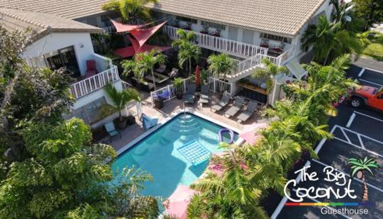 Area esterna dell'hotel - The Big Coconut Guesthouse - Gay Men's Resort