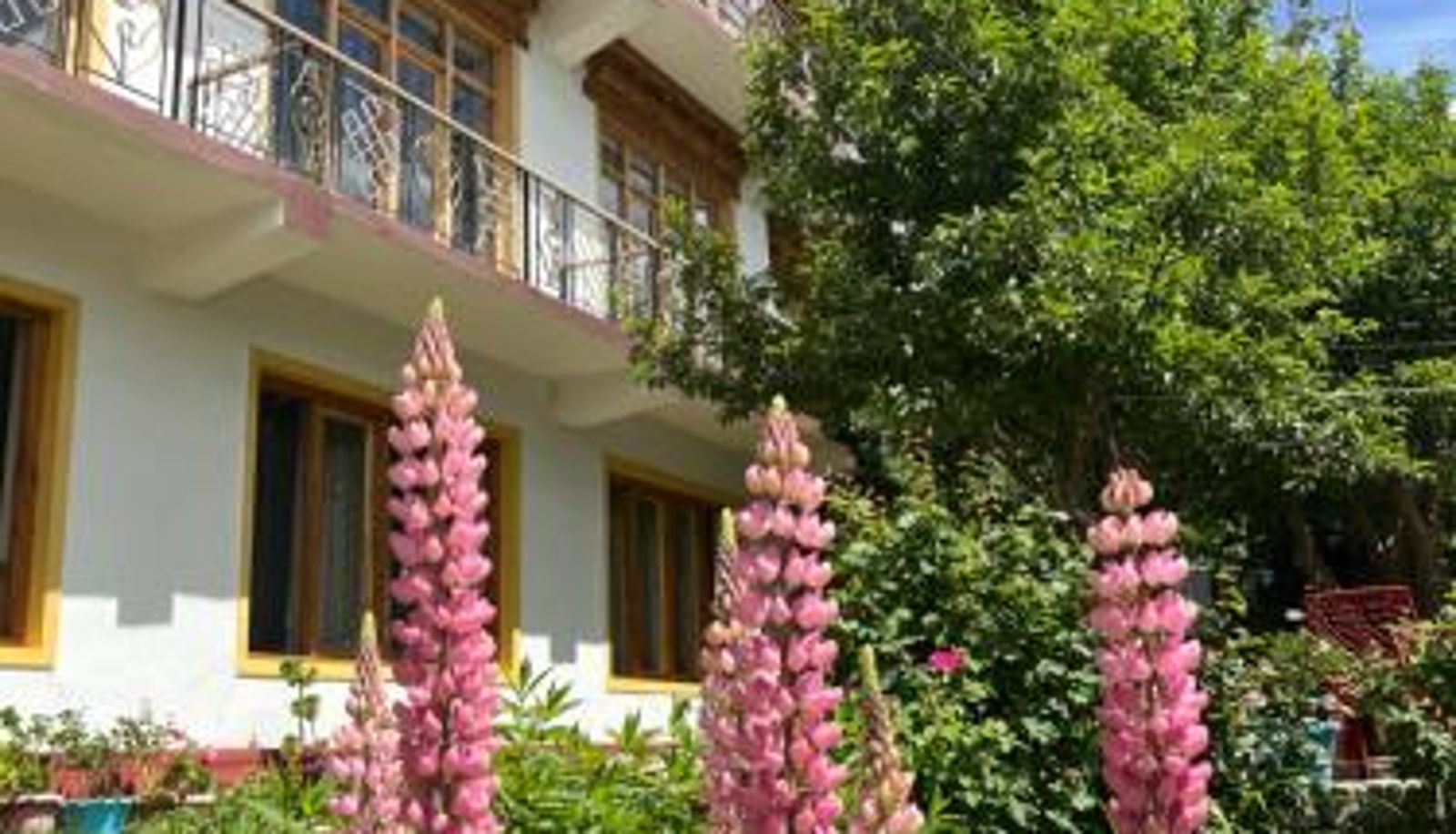 Zewnętrzna część hotelu - zikzik holidays