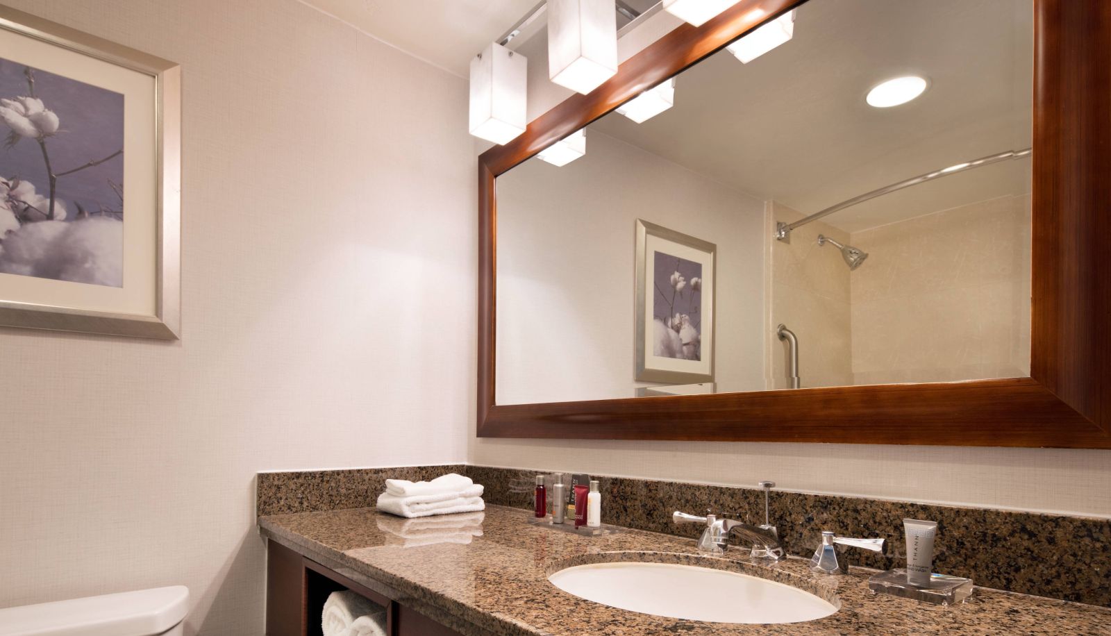 Chambre - Bakersfield Marriott at the Convention Center