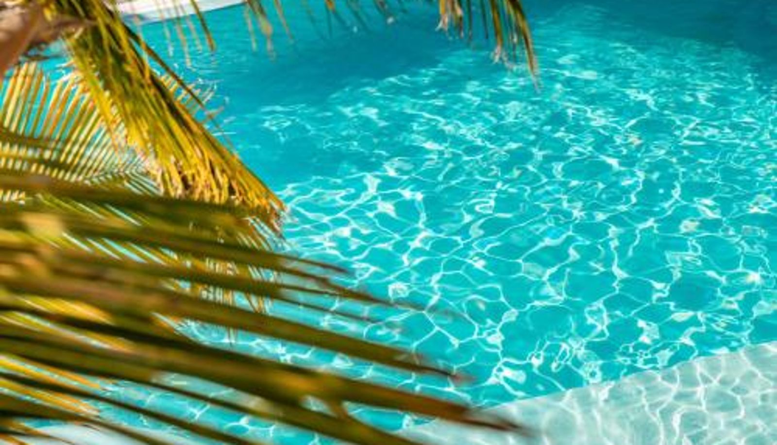 Apartment - Alhambra Boutique Apartments by PMC Resorts