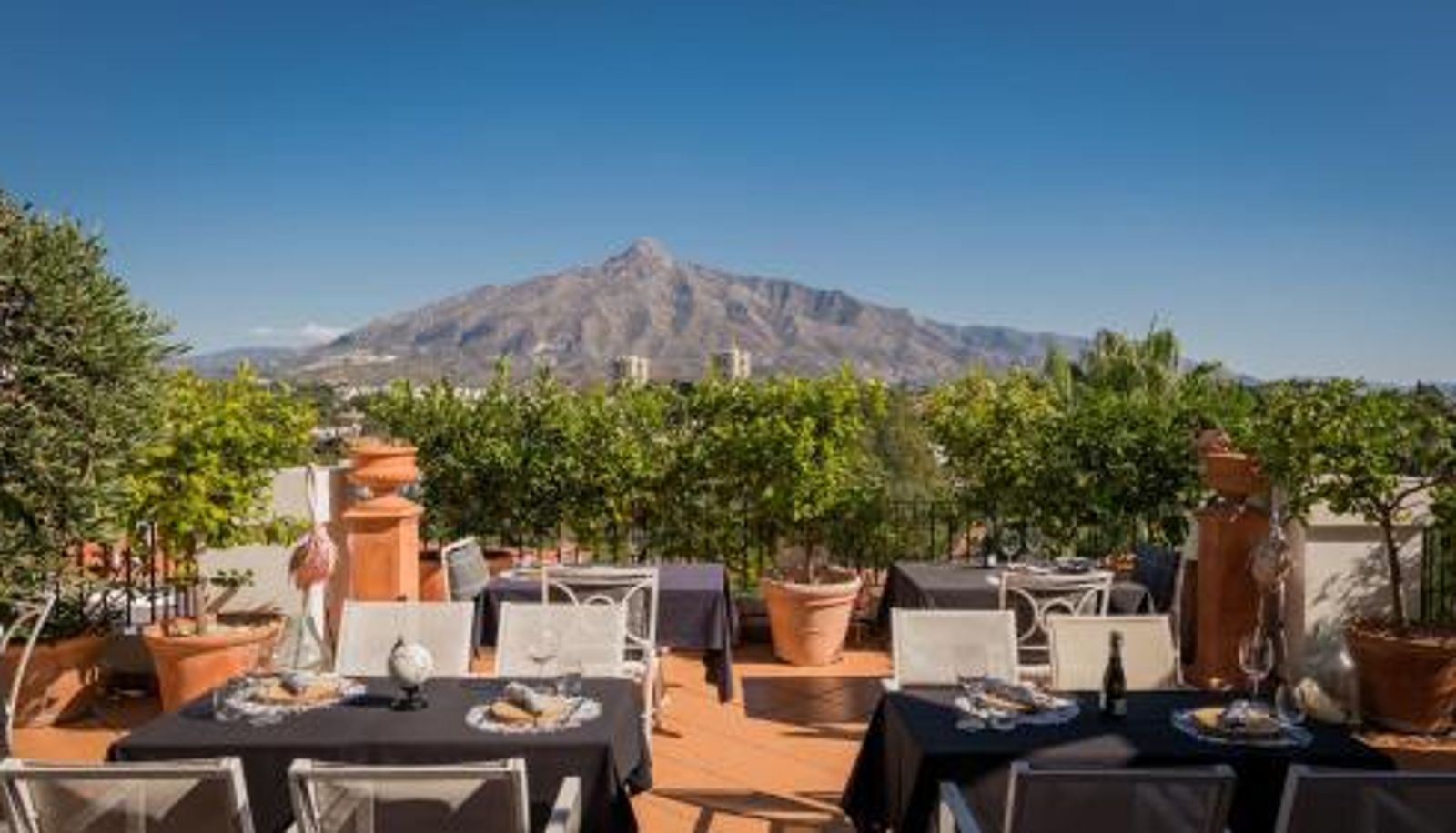 Frühstücksraum innerhalb des Restaurants - Molo Luxury Suites Puerto Banus