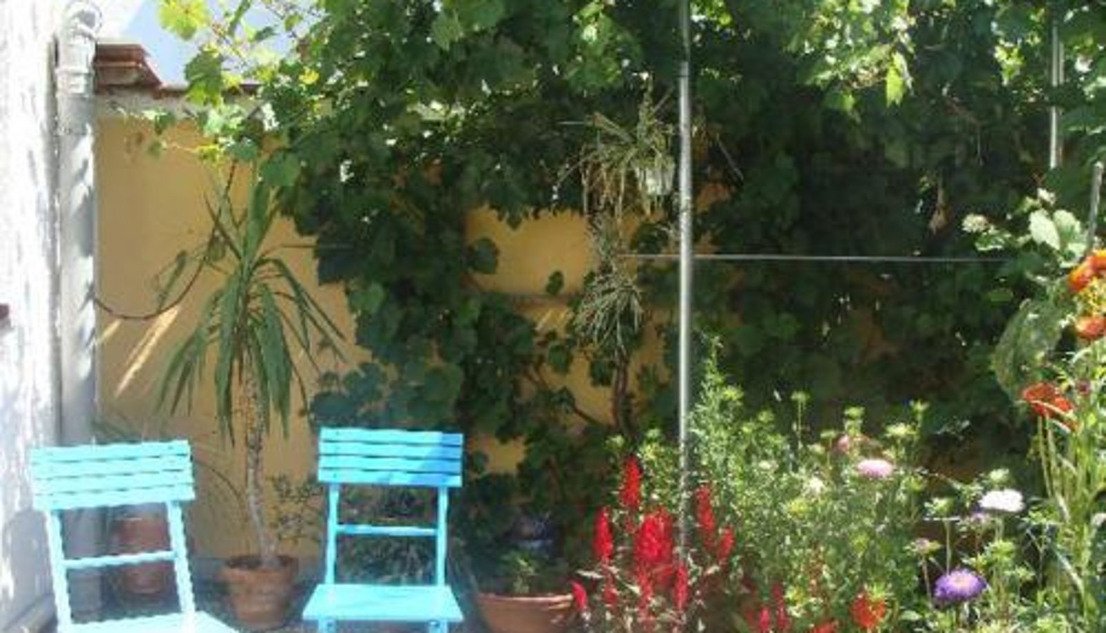 Zimmer mit Balkon - Appartementhaus Löwenzahn