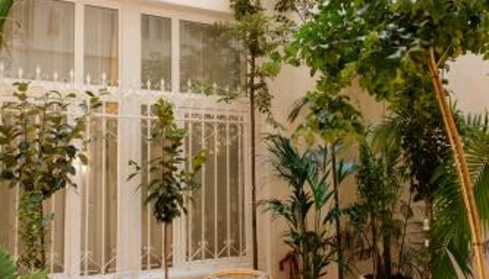 Reception - Plaza Mina Suites by Luxury Suites Cadiz -Adults Recommended