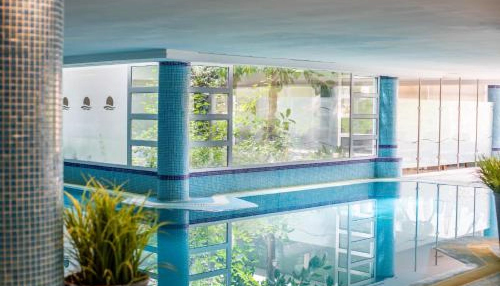 Pool - Hotel Mariant Park