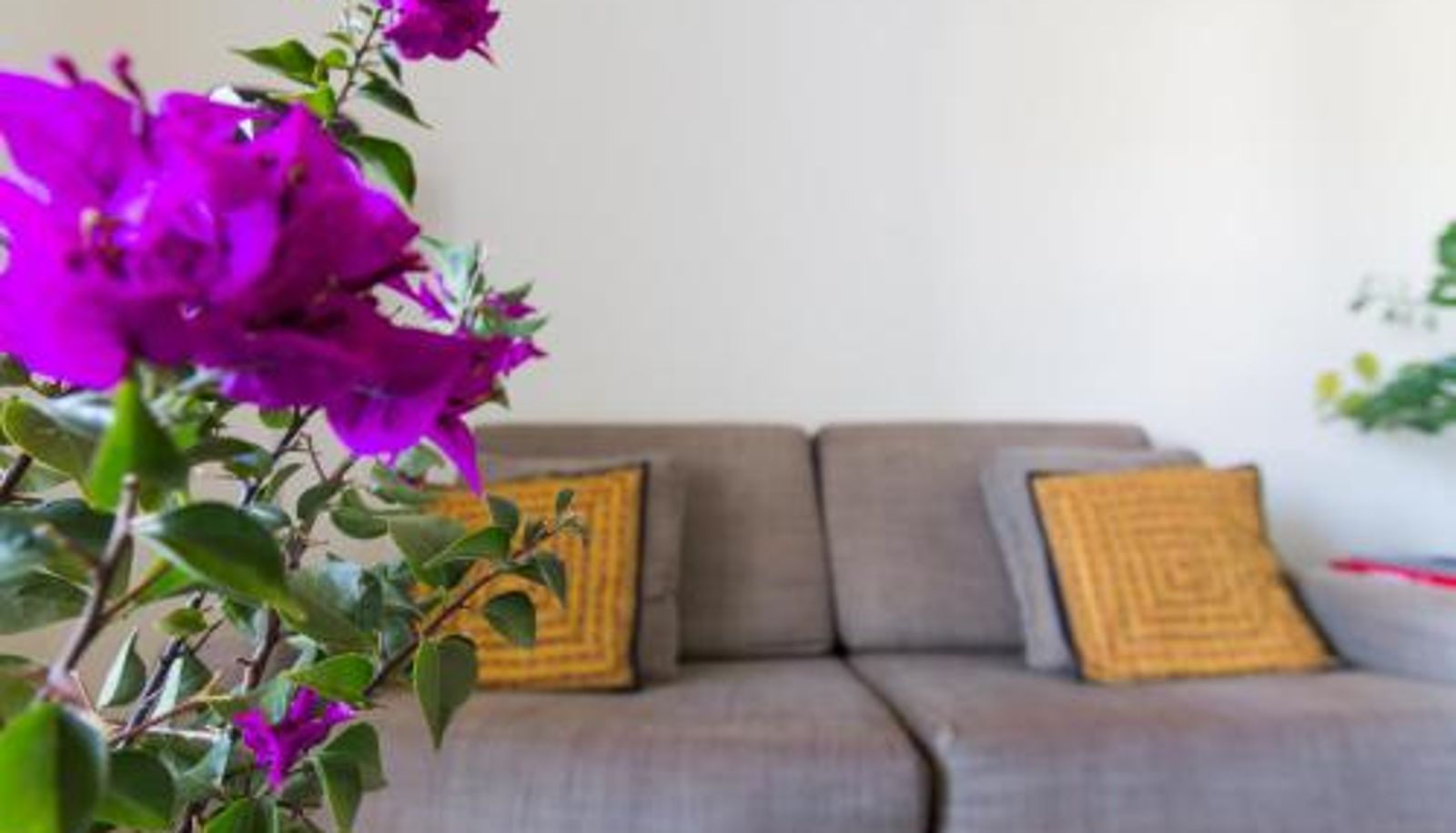 Apartment - Bitacora