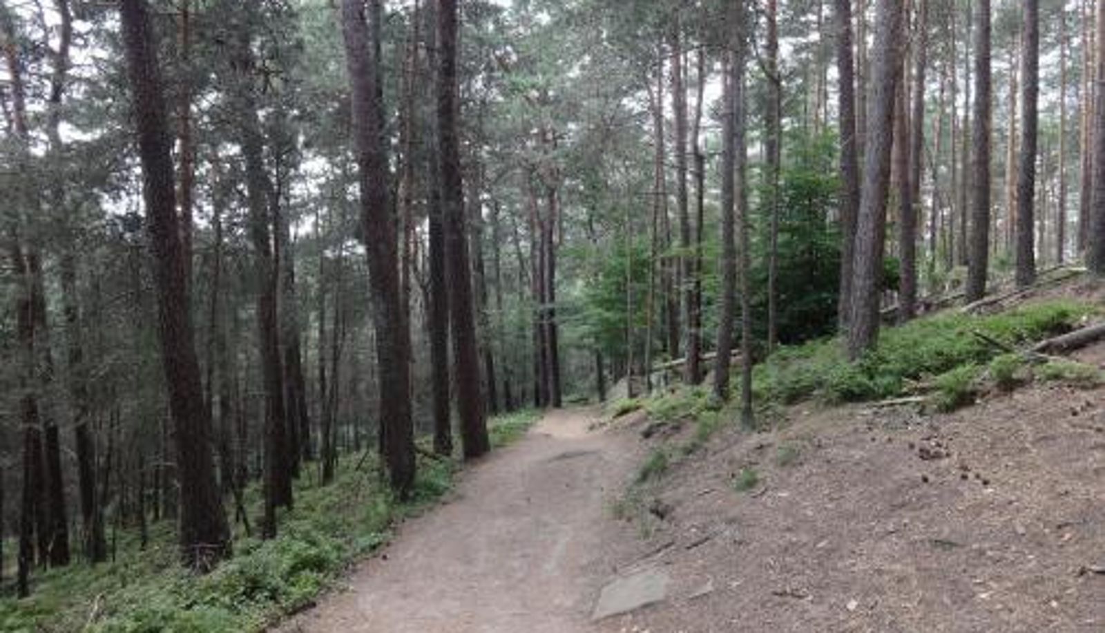 Info - Landgasthof Jägerstübchen