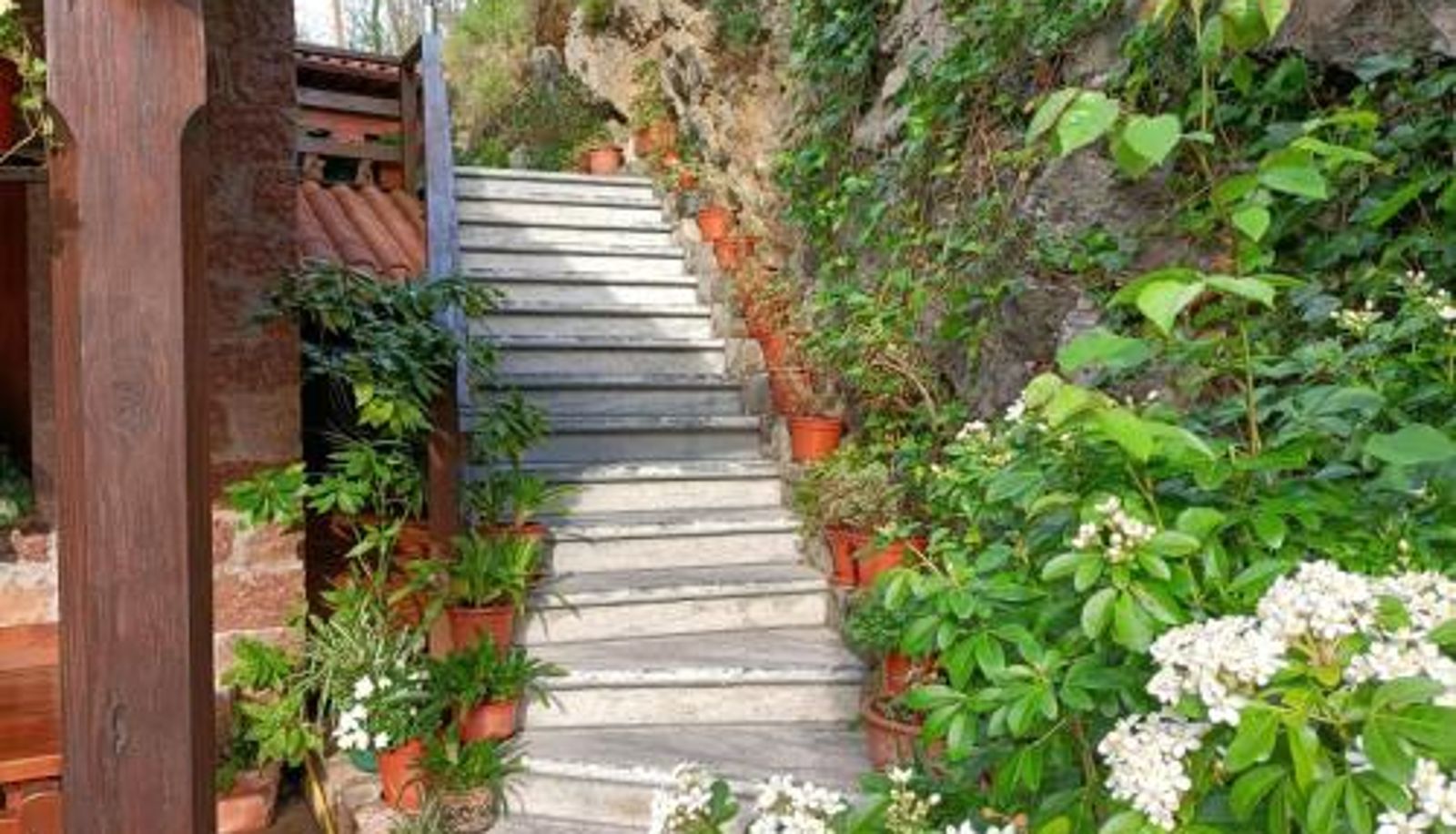 Info - La Salmonera Cangas de Onís