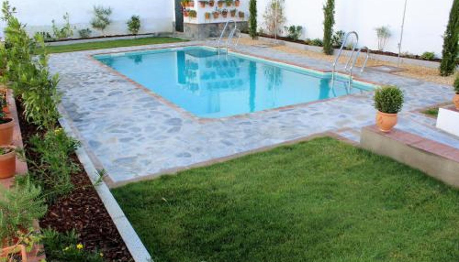 Pool - Hotel Entreolivos