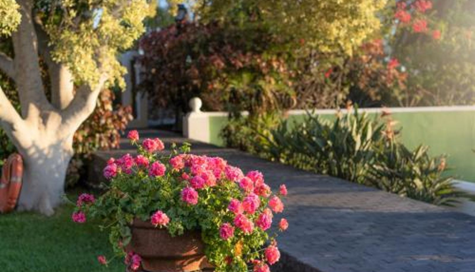 Apartament - La Palma Jardín Resort