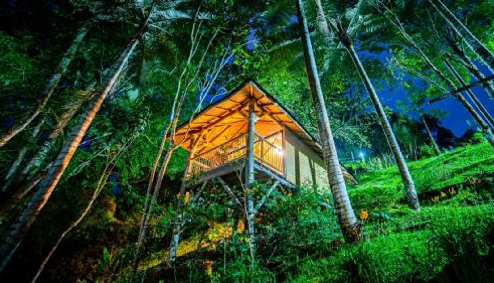Habitación - Hotel Kawa Mountain Retreat