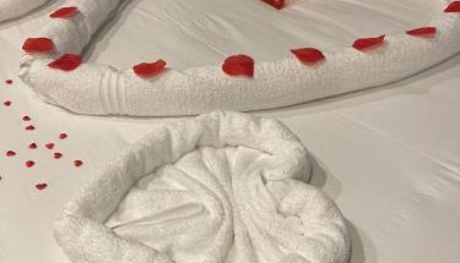 Info - Marinha Garden Inn - AL