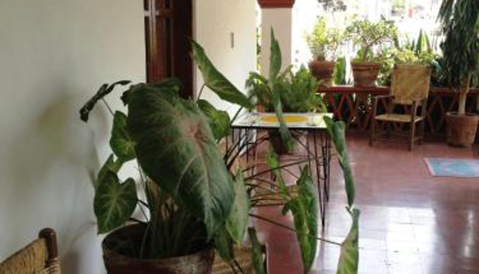 Terasse - Hotel Posada Santa Anita