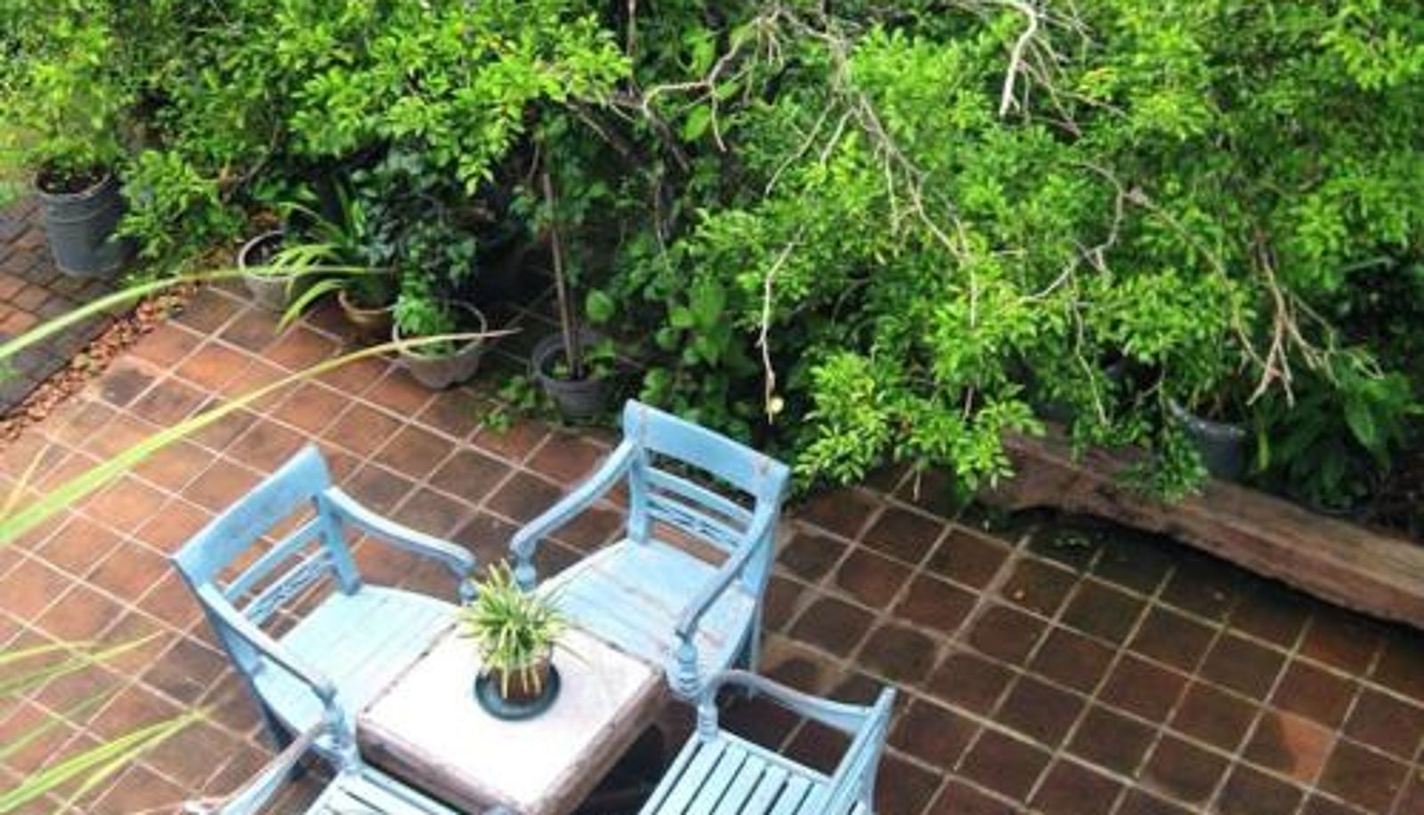 Extérieur de l'hôtel - Rumah Turi Eco Boutique Hotel