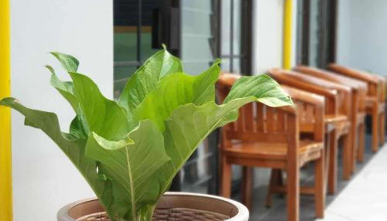 Terrace - Hotel Griya Wijaya Ambarawa