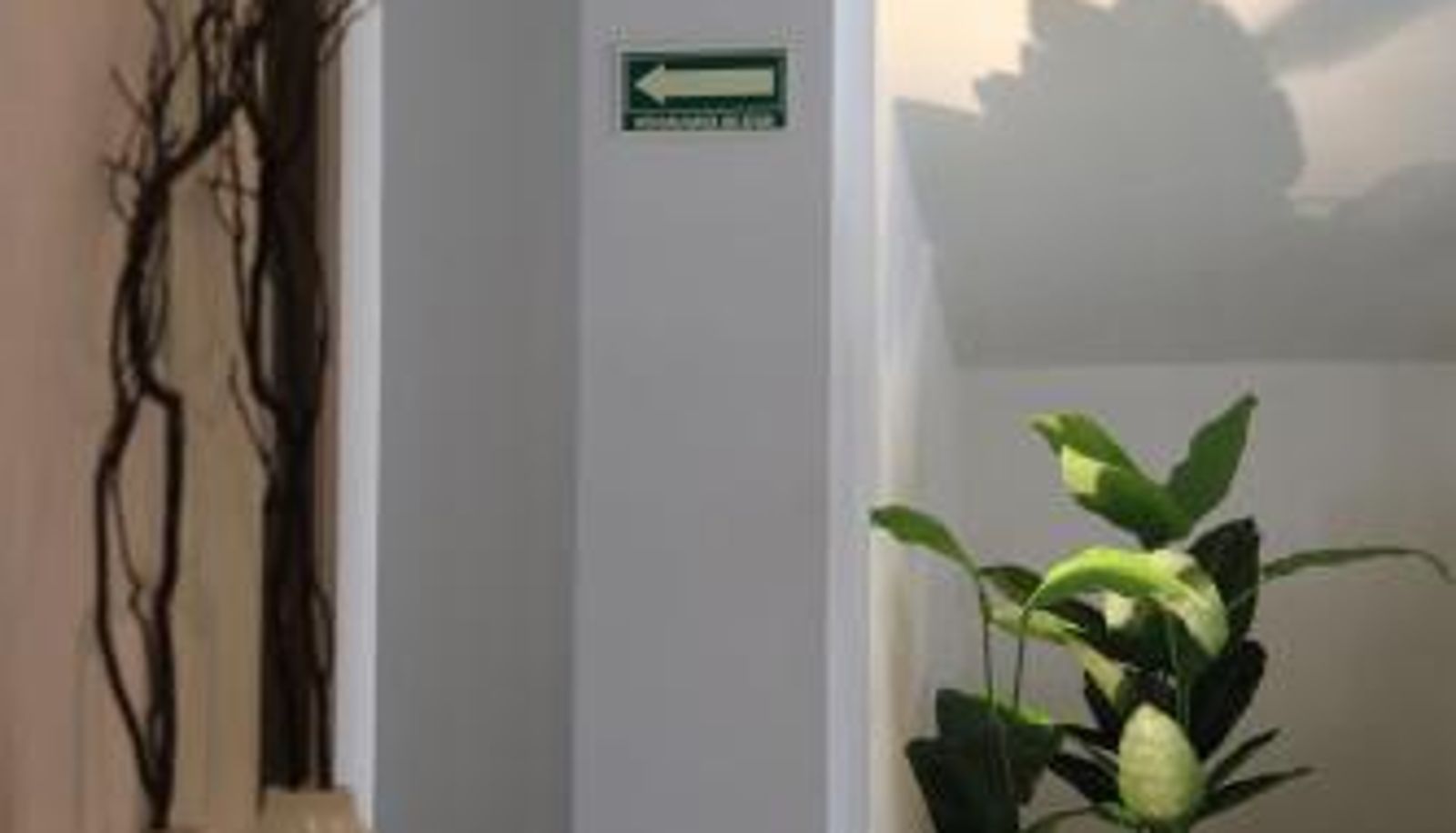 Información - Hotel Blanco Pachuca