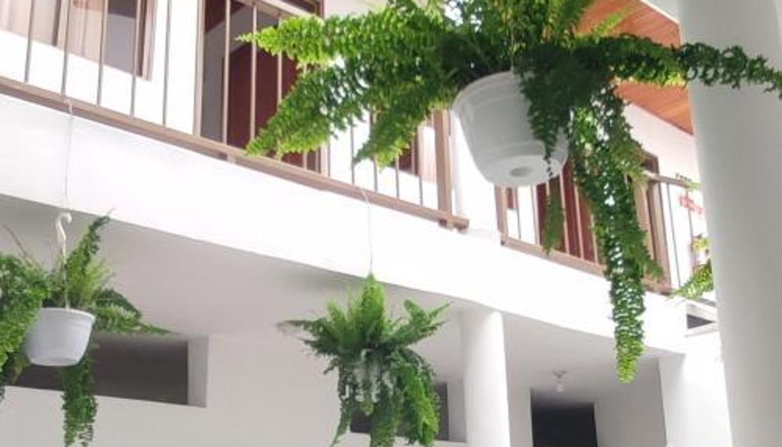Info - Luna verde hotel